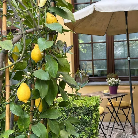 Apartament La Limonaia *