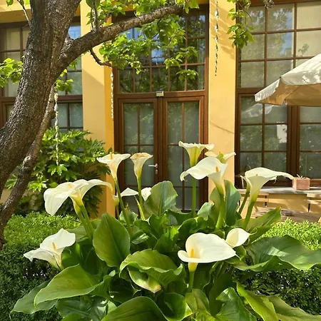 La Limonaia * Florens